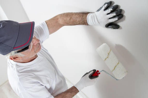 Best Commercial Mold Inspection  in Mountain View, HI