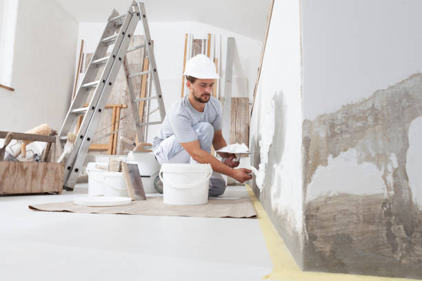 Best Real Estate Mold Inspection  in Mountain View, HI