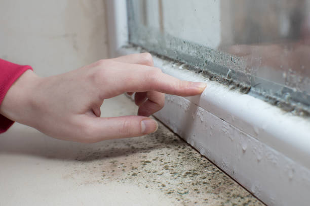 Best Indoor Air Quality Assessment  in Mountain View, HI