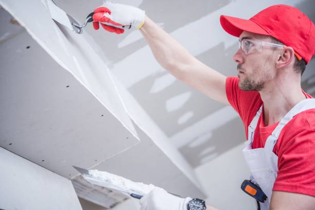 Best Dehumidification Services  in Mountain View, HI