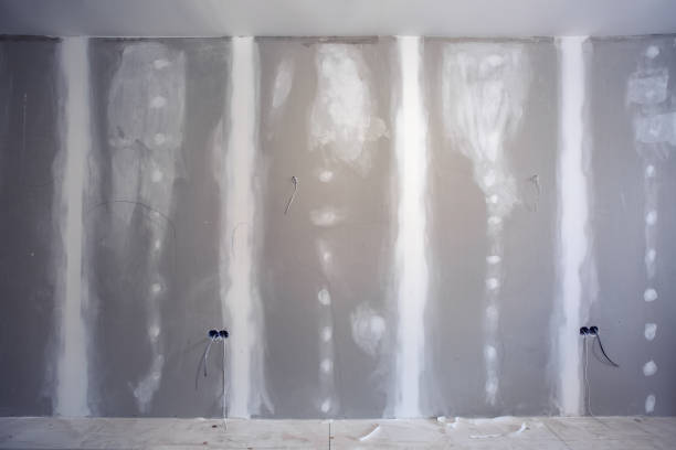 Best Mold Remediation for Healthcare Facilities  in Mountain View, HI